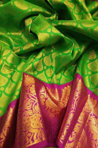 New Look Green Color Designer Saree